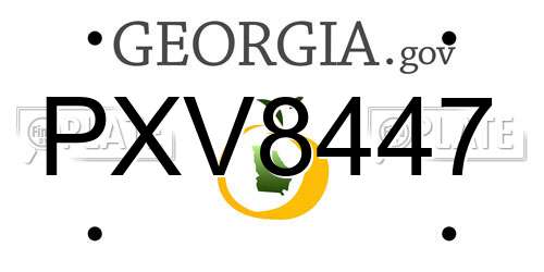 PXV8447 Georgia License Plate