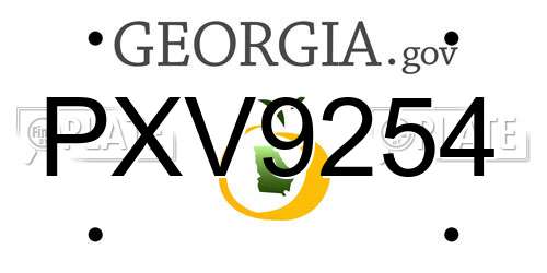 PXV9254 Georgia License Plate