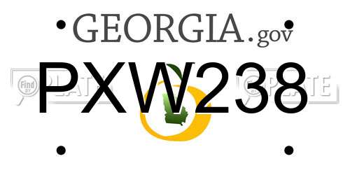 PXW238 Georgia License Plate
