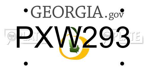 PXW293 Georgia License Plate