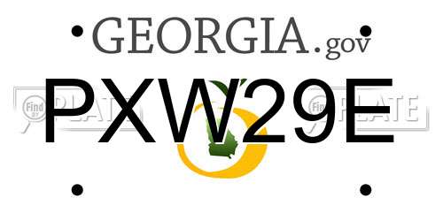 PXW29E Georgia License Plate