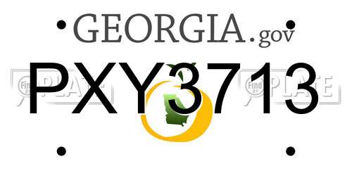 PXY3713 Georgia License Plate