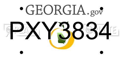 PXY3834 Georgia License Plate