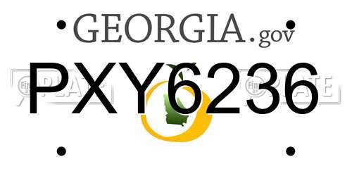 PXY6236 Georgia License Plate