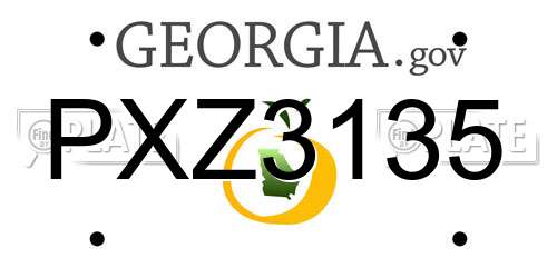 PXZ3135 Georgia License Plate