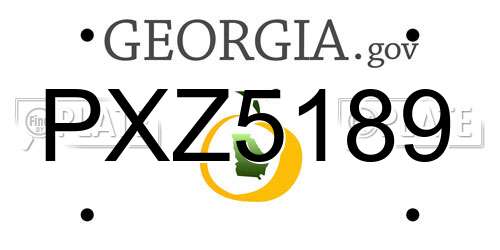 PXZ5189 Georgia License Plate