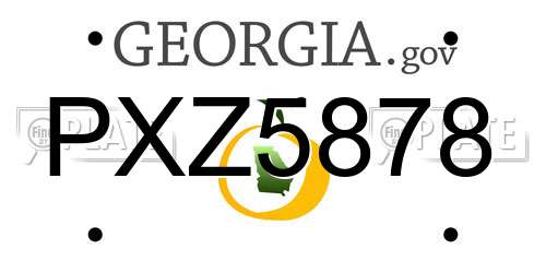 PXZ5878 Georgia License Plate