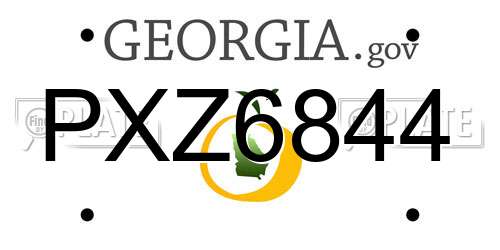 PXZ6844 Georgia License Plate