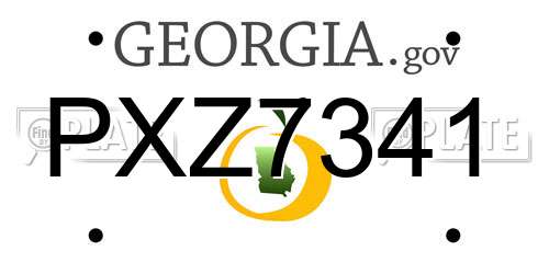 PXZ7341 Georgia License Plate