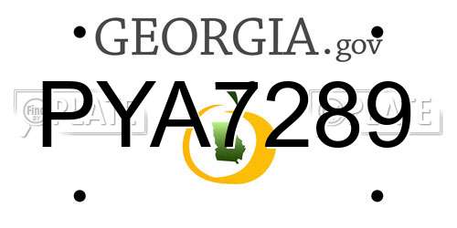 PYA7289 Georgia License Plate