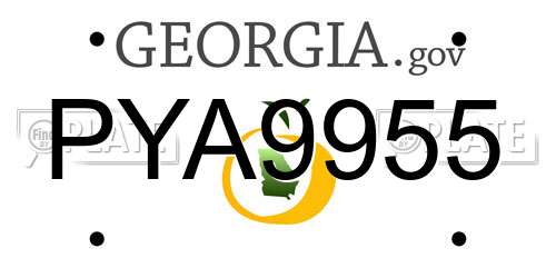 PYA9955 Georgia License Plate