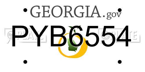PYB6554 Georgia License Plate