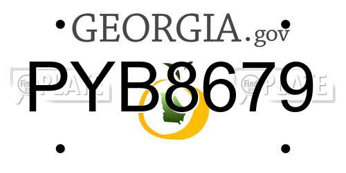 PYB8679 Georgia License Plate