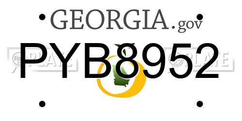 PYB8952 Georgia License Plate