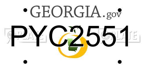 PYC2551 Georgia License Plate