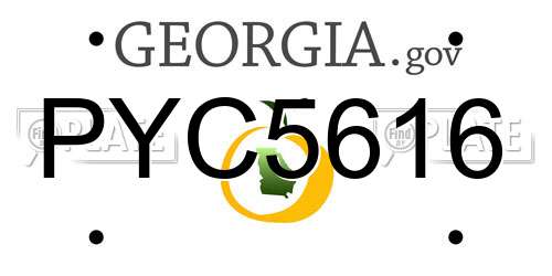 PYC5616 Georgia License Plate