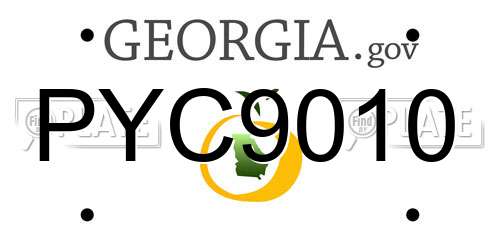 PYC9010 Georgia License Plate