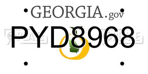 PYD8968 Georgia License Plate