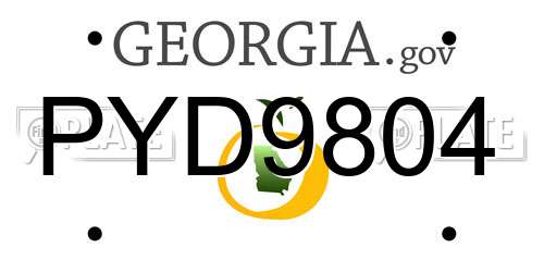 PYD9804 Georgia License Plate