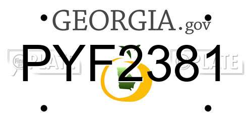PYF2381 Georgia License Plate