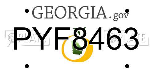 PYF8463 Georgia License Plate