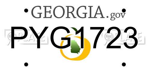 PYG1723 Georgia License Plate