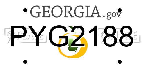 PYG2188 Georgia License Plate