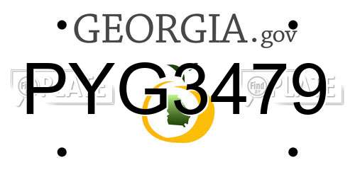 PYG3479 Georgia License Plate