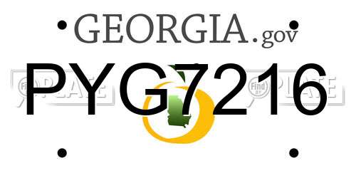 PYG7216 Georgia License Plate