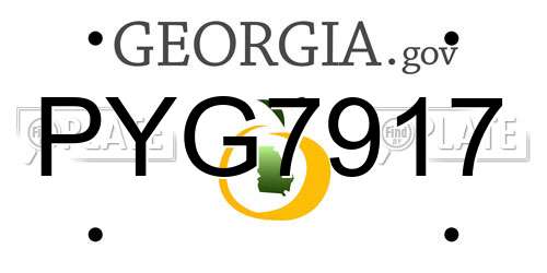 PYG7917 Georgia License Plate