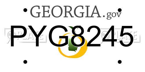 PYG8245 Georgia License Plate