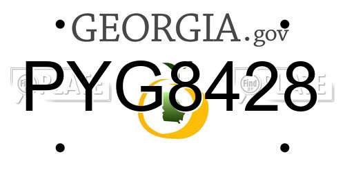 PYG8428 Georgia License Plate