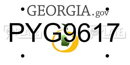 PYG9617 Georgia License Plate