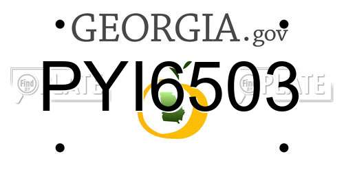 PYI6503 Georgia License Plate