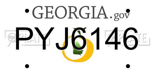 PYJ6146 Georgia License Plate