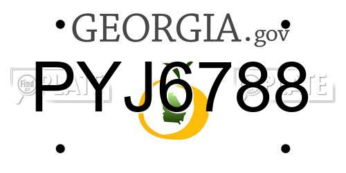 PYJ6788 Georgia License Plate