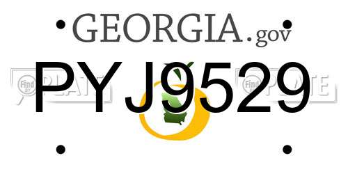 PYJ9529 Georgia License Plate