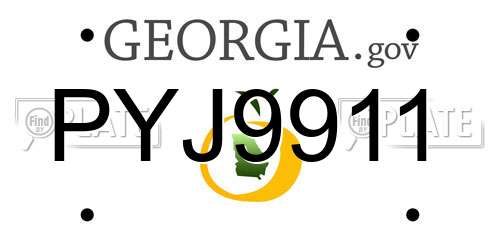 PYJ9911 Georgia License Plate