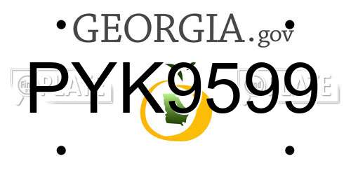 PYK9599 Georgia License Plate