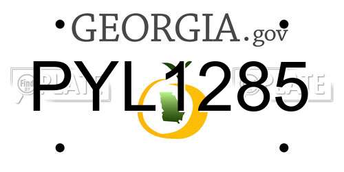 PYL1285 Georgia License Plate