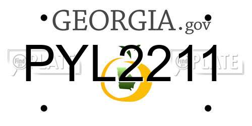 PYL2211 Georgia License Plate