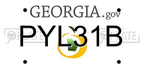 PYL31B Georgia License Plate