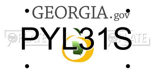 PYL31S Georgia License Plate
