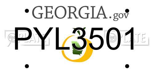 PYL3501 Georgia License Plate