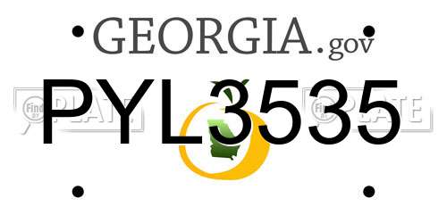 PYL3535 Georgia License Plate
