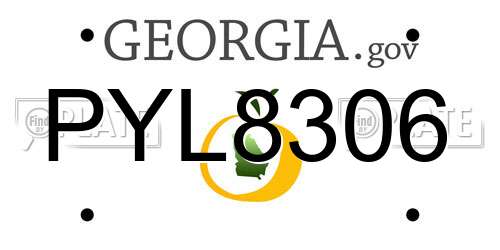 PYL8306 Georgia License Plate
