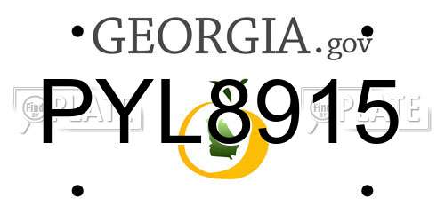 PYL8915 Georgia License Plate