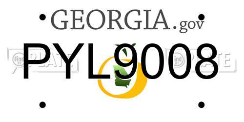 PYL9008 Georgia License Plate