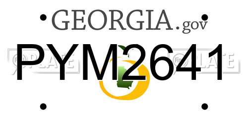 PYM2641 Georgia License Plate
