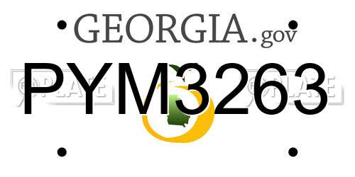 PYM3263 Georgia License Plate